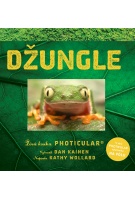 Džungle