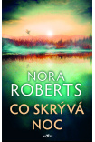 Co skrývá noc