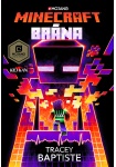 Minecraft - Brána