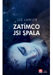 Zatímco jsi spala L