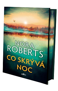 Co skrývá noc